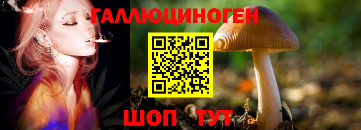 Псилоцибиновые грибы ЛСД  Вход с VPN  хочу наркоту  Волоколамск 